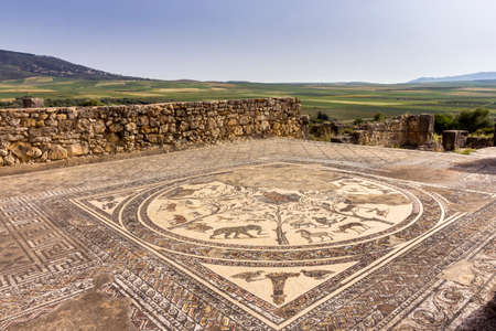 Floor mosaic in Orpheus house at archaeological Site of Volubilis, ancient Roman empire city, Unesco World Heritage Site, located in Morocco near Meknesのeditorial素材
