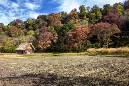 Historic Village of Ogimachi in Shirakawa-go, UNESCO World Heritage Site, a small, traditional village showcasing a building style known as gassho-zukuri. Japan.の写真素材