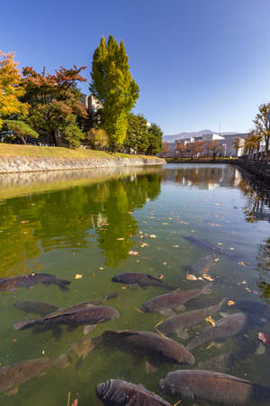 Matsumoto castle entry ditch, a designated National Treasure of Japan, and the oldest castle donjon remaining in Japan. Construction began in 1592 and it is also known as Crow Castle, Japan.のeditorial素材