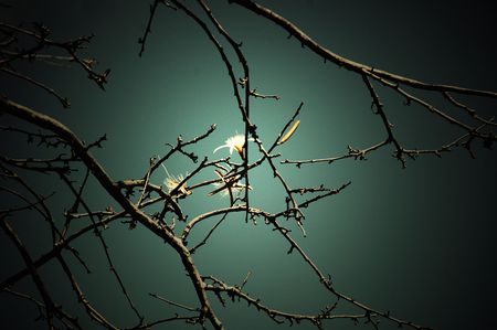 Light on meの写真素材