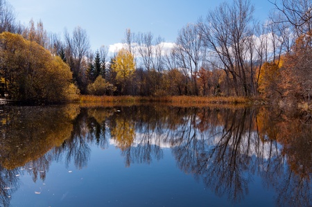 landscape of the reflections in the calm lake on a sunny autumn dayの写真素材