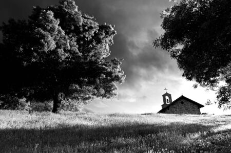 Chapel next to big tree on top of a grass hill の写真素材