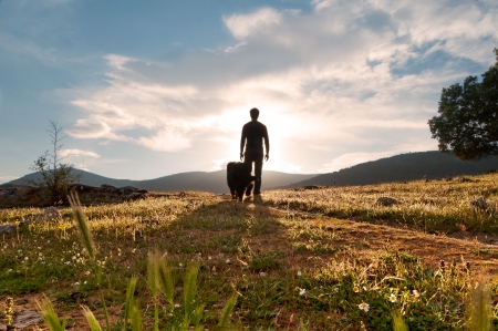 Silhouette of man and his faithful companion at sunset in the meadow bloom in spring in a nice sunny day の写真素材
