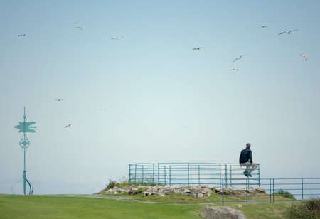 Man sitting in the park observed seagullsの写真素材