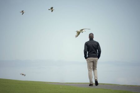 Man walks in the park through the seagulls