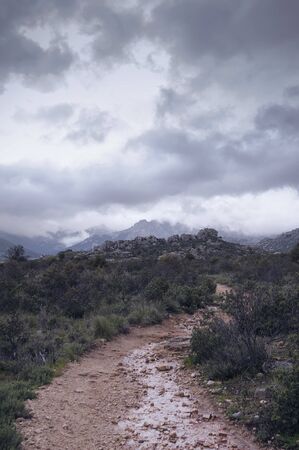Waterlogged road up the mountain on a stormy dayの写真素材