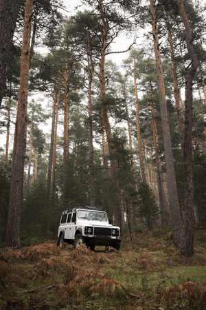 4x4 in the middle of the forest on a cloudy autumn day.