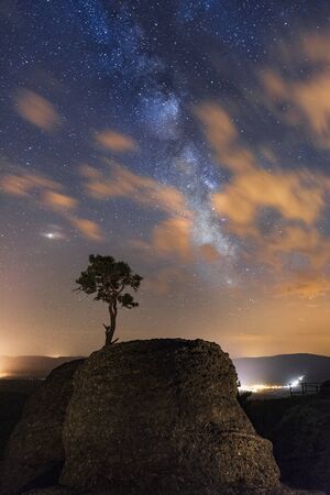Illuminated lonely tree on the rock under night sky full of stars and Milky way. Soria, Spainの写真素材