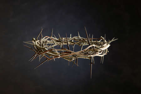 Thorn Crown isolated on a neutral backgroundの写真素材