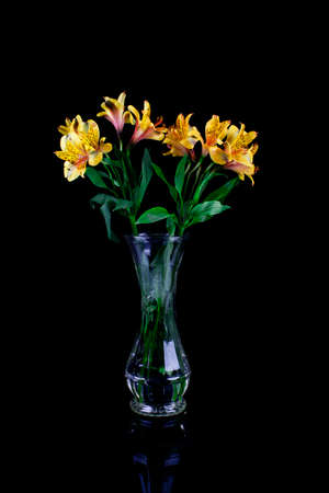 Astromeria lilies in a glass vaseの写真素材