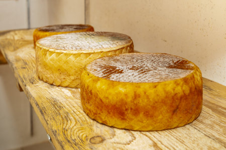 goat's milk cheese on a wooden shelf in a dairy farm.の写真素材
