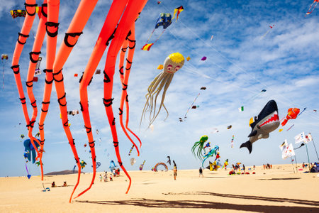 Kites flying in the desert, Mui Ne, Vietnam.の写真素材
