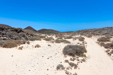 Volcanic landscape on Fuerteventura island, Canary Islands, Spainの写真素材