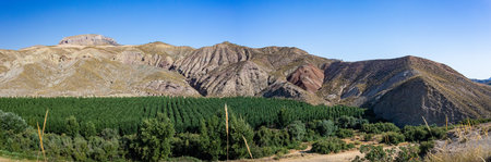 Panoramic view of the mountains in the Andes, Peruの写真素材