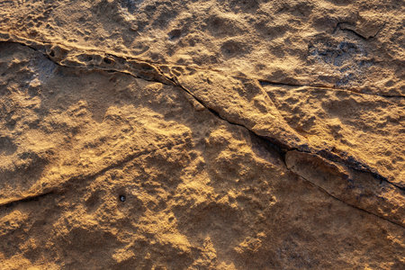 Texture of sandstone with cracks and scratches. Abstract background for design.