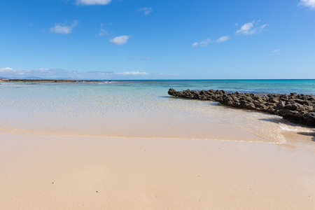 fantastic beach with golden sands and calm waters in Fuerteventura, Corralejo, Canary Islandsの写真素材