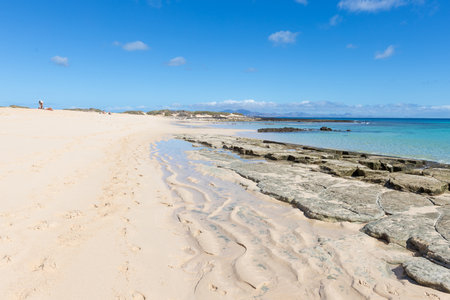 beautiful golden sand beach in Fuerteventura, Corralejo, Canary Islandsの写真素材