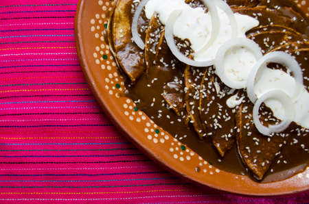 Traditional mexican mole enchiladasの写真素材