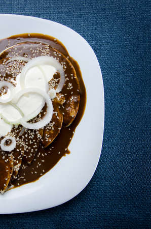 Authentic mexican enchiladas with mole salsaの写真素材
