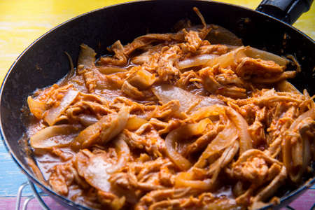 Traditional mexican chicken tingaの写真素材