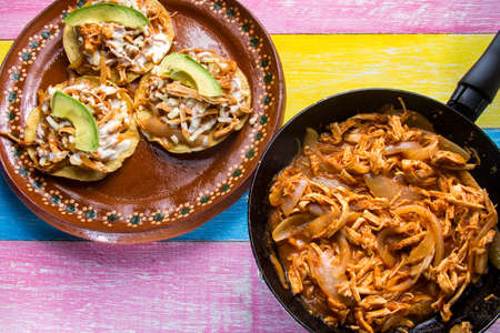 Authentic mexican chicken tingaの写真素材