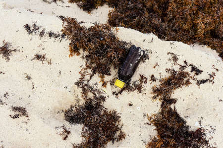 Trash on sand beachの写真素材