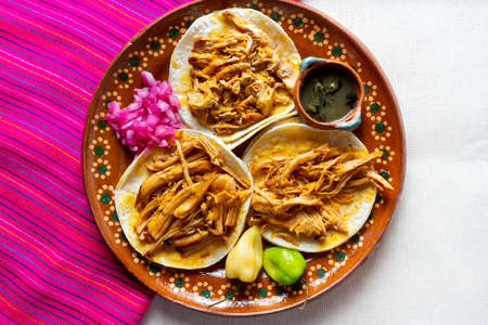 Traditional mexican cochinita pibil tacosの写真素材