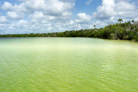 "Kaan luum" Lagoon view in Mexicoの写真素材