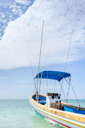 Blue boat on the sea