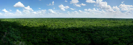 Mexican jungle panorama