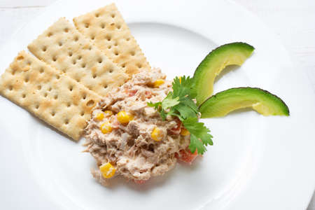 Tuna salad with soda crackersの写真素材