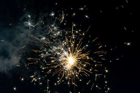 Colorful fireworks in the night sky