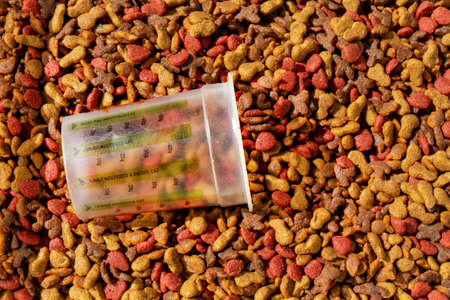 Colorful dry pet foodの写真素材