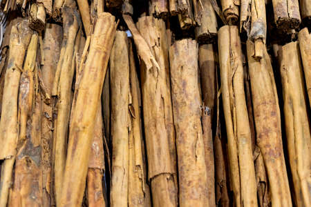 Natural cinnamon in stickの写真素材