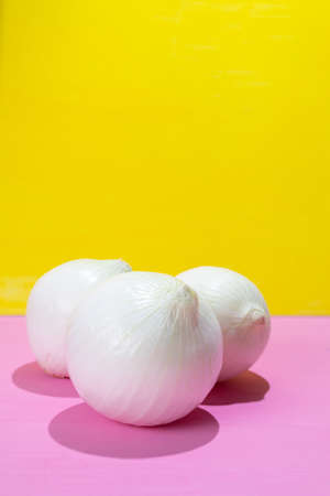 Set of white onions on colorful backgroundの写真素材