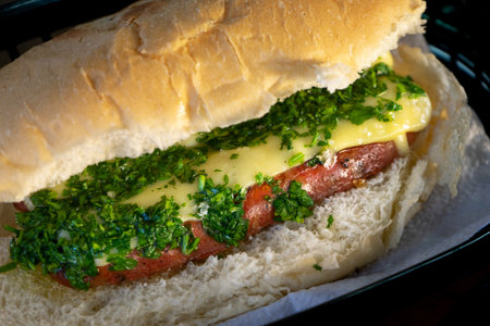 Traditional argentinian choripan with chimichurri sauce and cheeseの写真素材