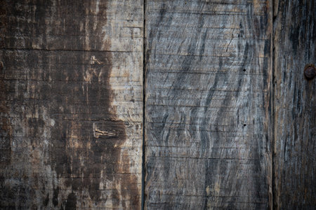 Old gray wood texture and background