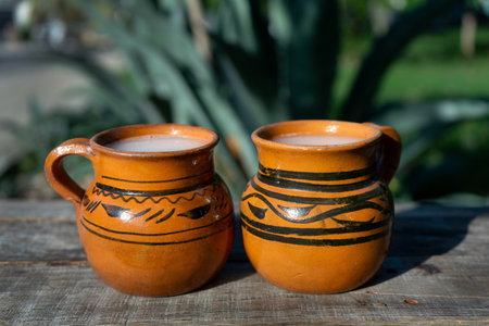 Traditional mexican fermented beverage called "Pulque" in clay cups with agave cactusの写真素材