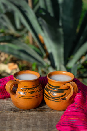 Traditional mexican fermented beverage called "Pulque" in clay cups with agave cactusの写真素材