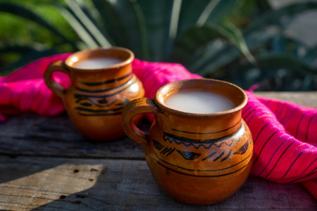 Traditional mexican fermented beverage called "Pulque" in clay cups with agave cactusの写真素材
