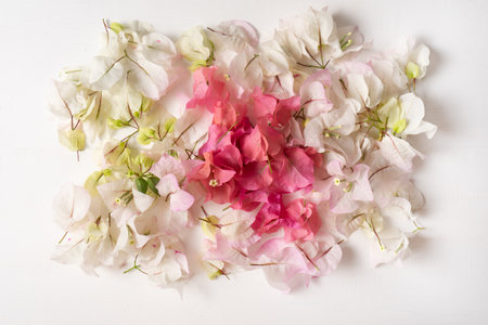white and pink bougainvillea flower decoration
