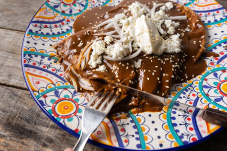 Traditional Mexican mole sauce enchiladas with cheese and sesame seedsの写真素材