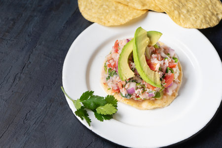 Traditional mexican fish ceviche with avocado on dark backgroundの写真素材
