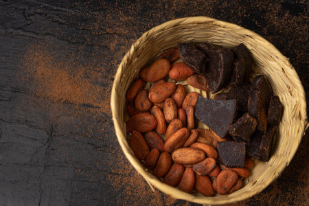 Traditional cacao beans and chocolate on dark backgroundの写真素材