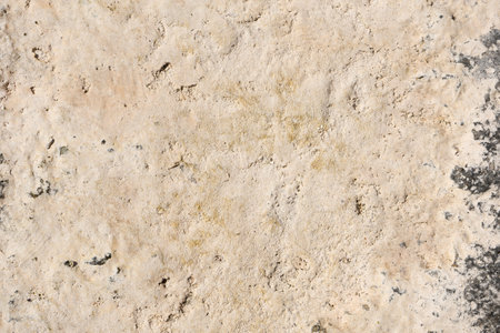 Natural rock texture and background at the beachの写真素材