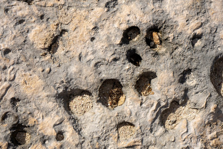 Natural rock texture and background at the beach