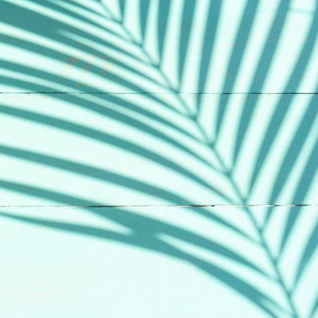 Turquoise background and texture with palm for tropical conceptの写真素材