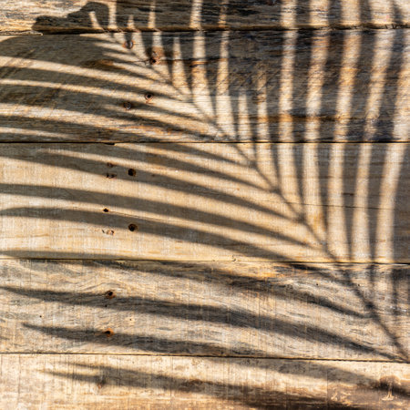 wooden background and texture with palm for tropical conceptの写真素材