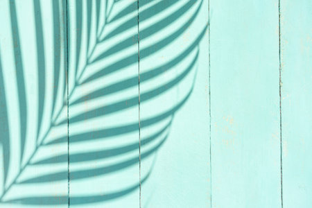 Turquoise background and texture with palm for tropical conceptの写真素材