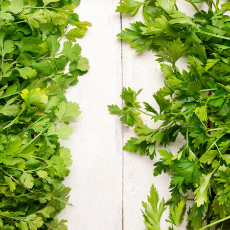 Bunch of fresh cilantro and parsley on white background